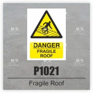 P1021 - Danger Fragile Roof