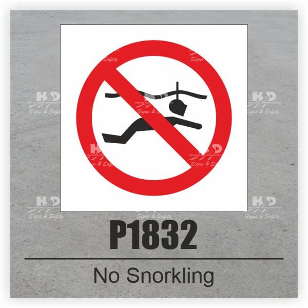P1832 - No Snorkling