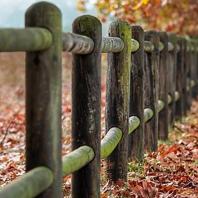 Veritatis sunt quod qui animi.
